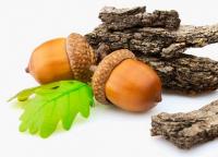 What are the benefits of acorn, bark, oak leaves