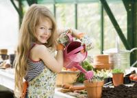 Коли і як садити цибулину лілії навесні у горщик, як поливати, чим підгодувати, як пересаджувати?